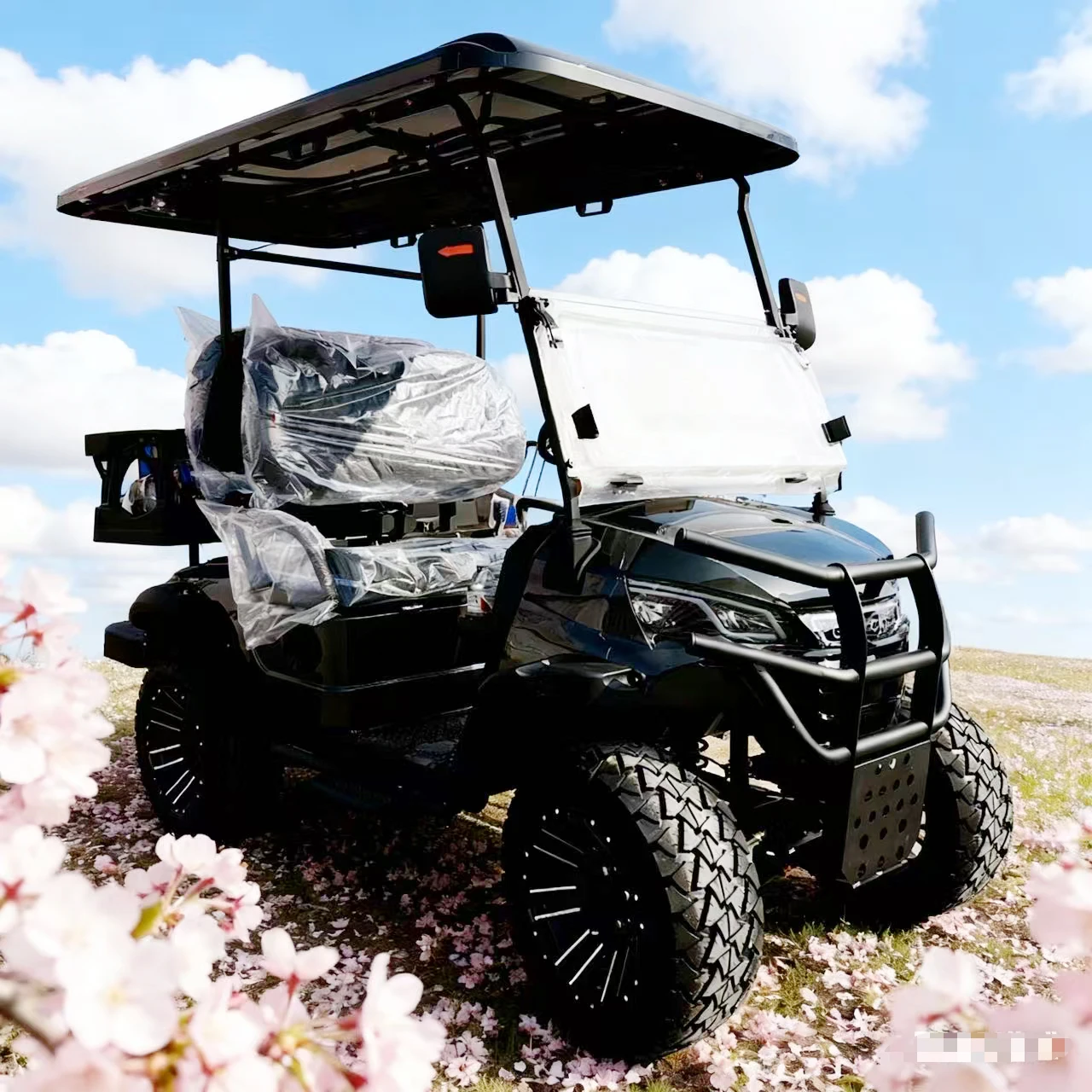 4X4 4/6 Seats Elect…