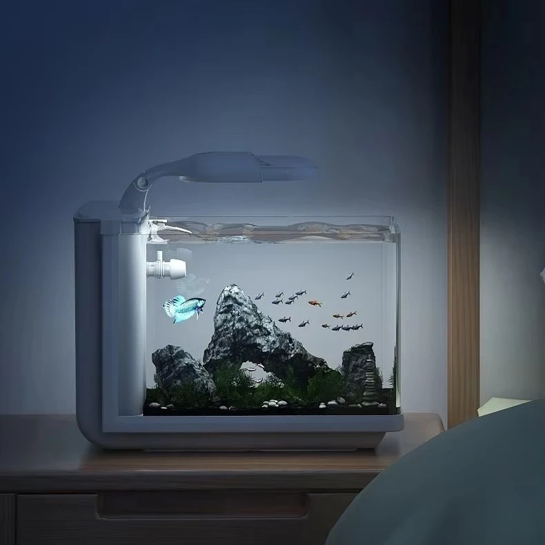 Rectangle Glass Desktop Aquarium Hidden Filtration Detachable Structure High-Brightness Lighting for Lazy Users, Study & Bedroom