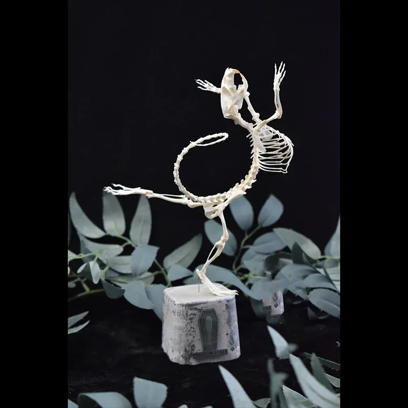 2045 Dancing Mouse Skeleton Art Sculpture Gothic Resin Decor Handmade Craft Creative Rodent Bone Model Halloween Party Supplies
