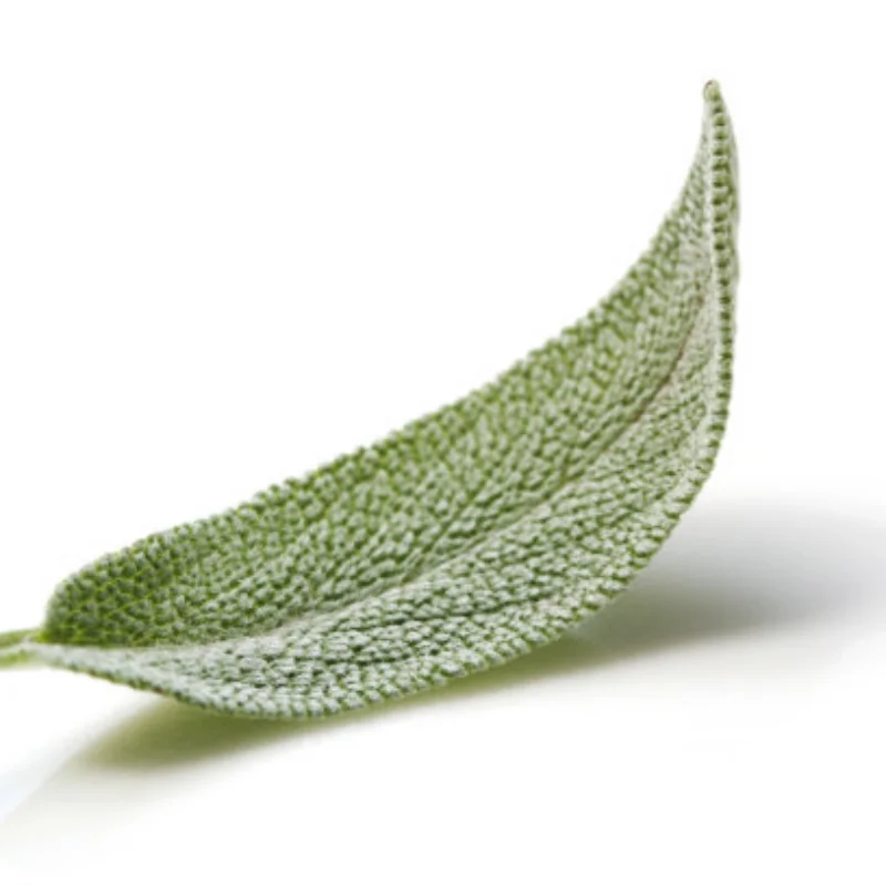 

Upgraded Shock Absorber 1/12 Front / Rear Metal Spring Damper For 124016/124017/124018/124019 RC Car Spare Parts