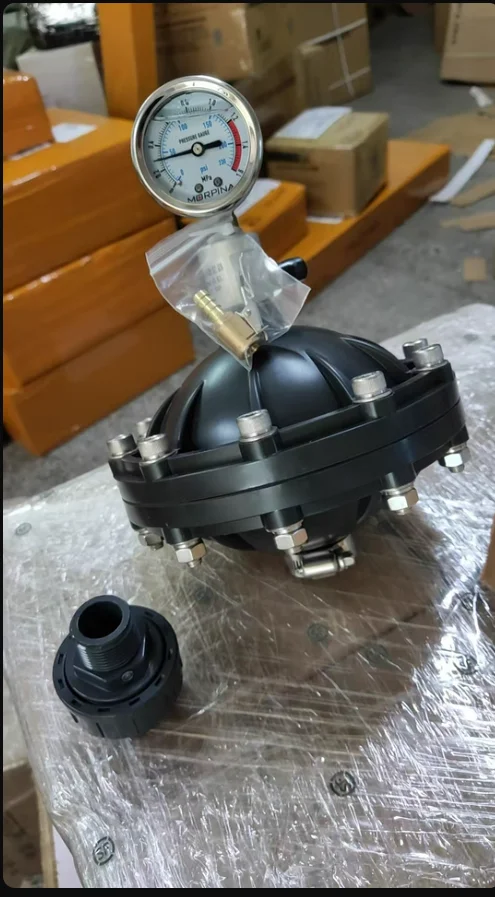 

Pulsation Damper 0.35-4L DN15-DN50 Internal Thread Diaphragm Pulsation Dampener For Pumps Dosing System