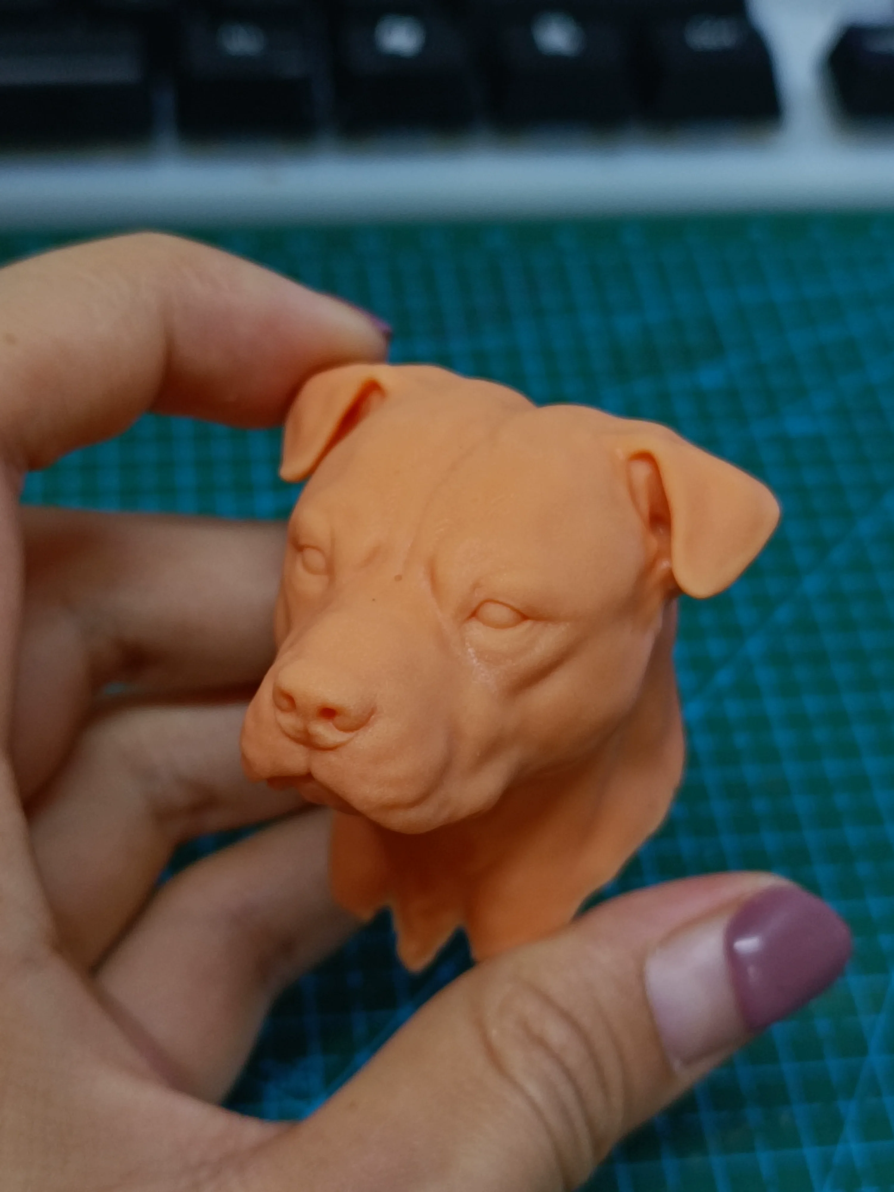 Rottweiler Dog  Doll Unpanited Male Head Carving Star PVC Soldier  Animal Model 1/6 Scale Action Figure Body Toys