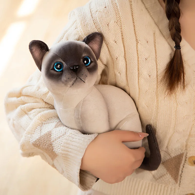 Gevulde Levensechte Siamese Katten Knuffel Simulatie Amerikaanse Korthaar Leuke Ocelot Kitten Pop Huisdier Speelgoed Home Decor Cadeau Voor Meisjes