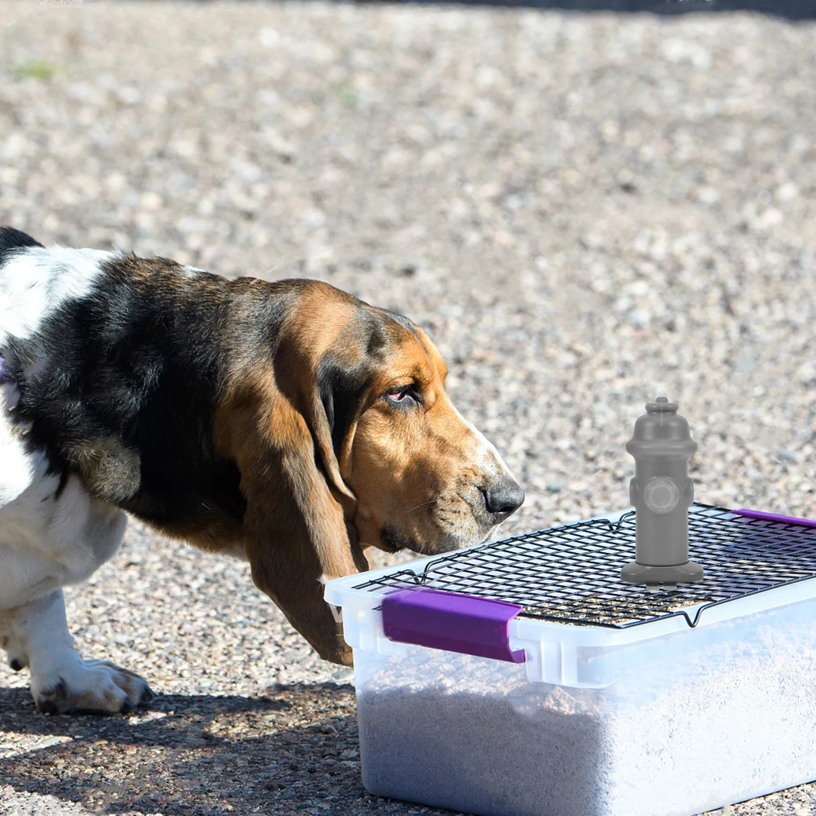 Dog Toilet Training Tray Potty Urine Guide Column Indoor Potties Bathroom Station