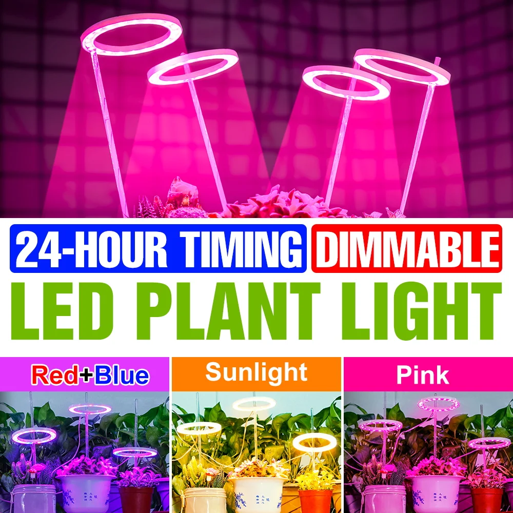 5V Full Spectrum Le…