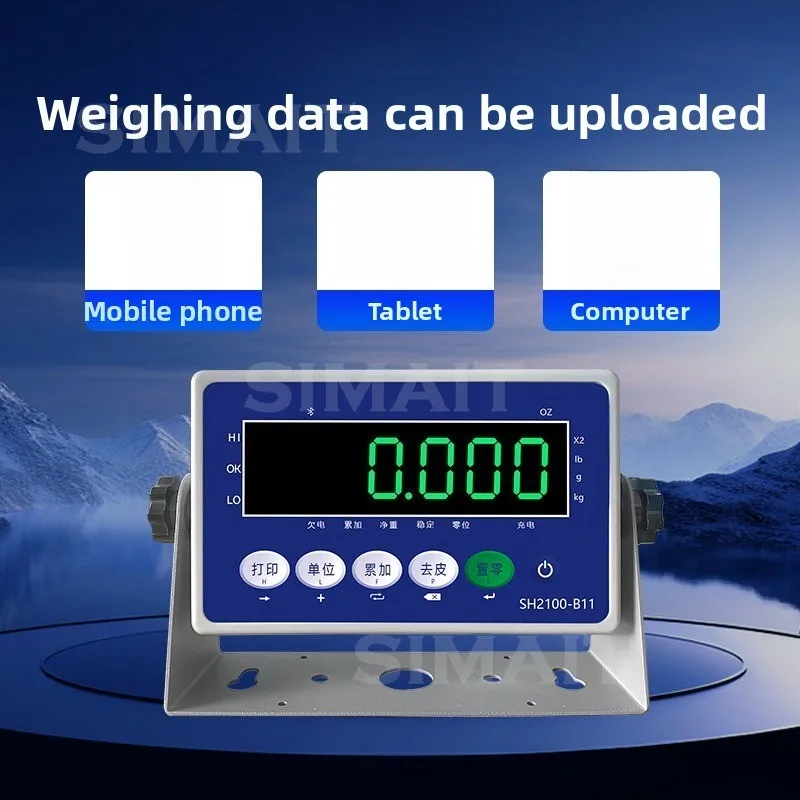 B11 ERP Communication Scale Instrument, Weighing LED Display 232 Serial Port USB Port
