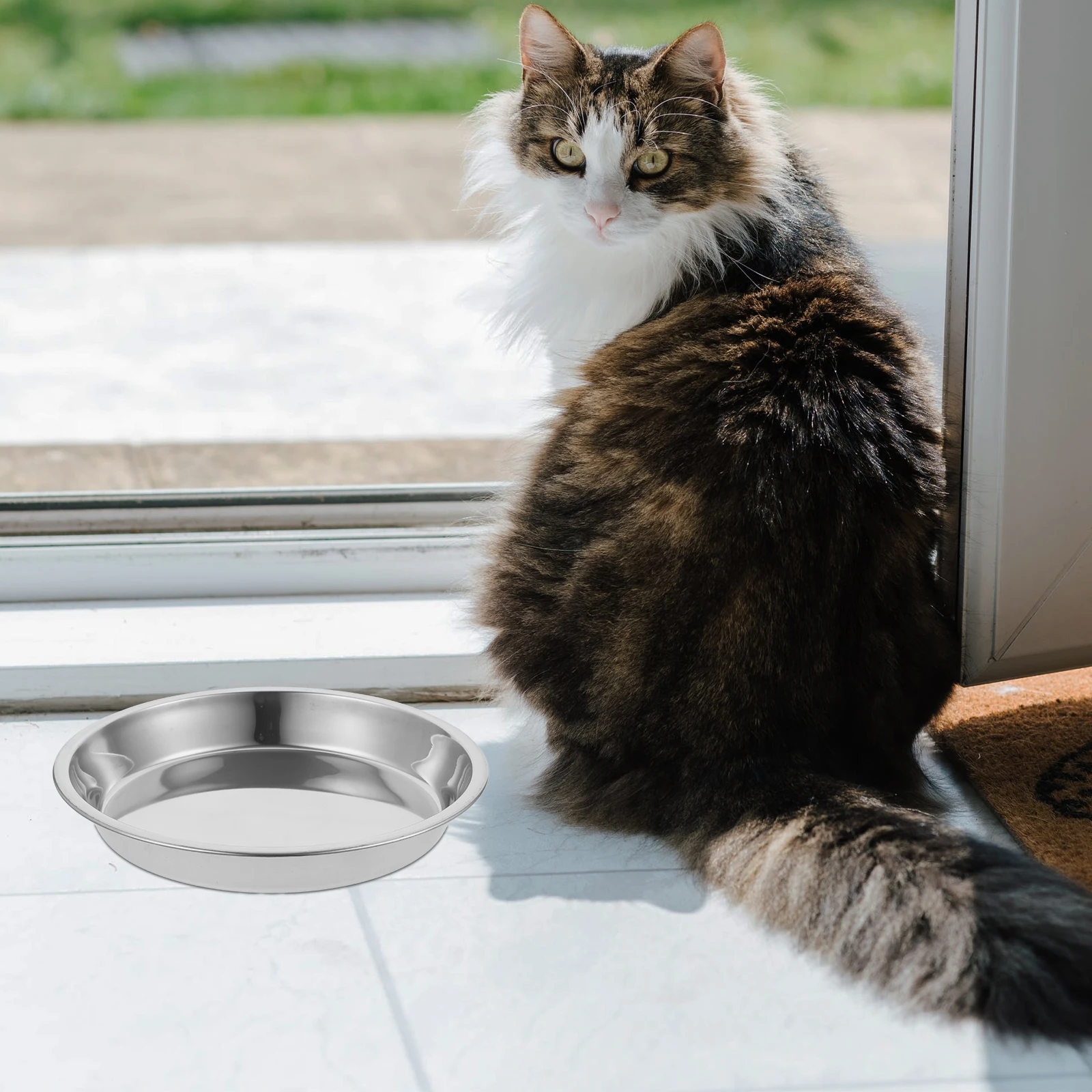

4pcs Stainless Steel Cat Durable Pet Food Bowls Easy Clean Kitten Water Bowl Household Wear-Resistant Shallow Bowls For Cats Pet