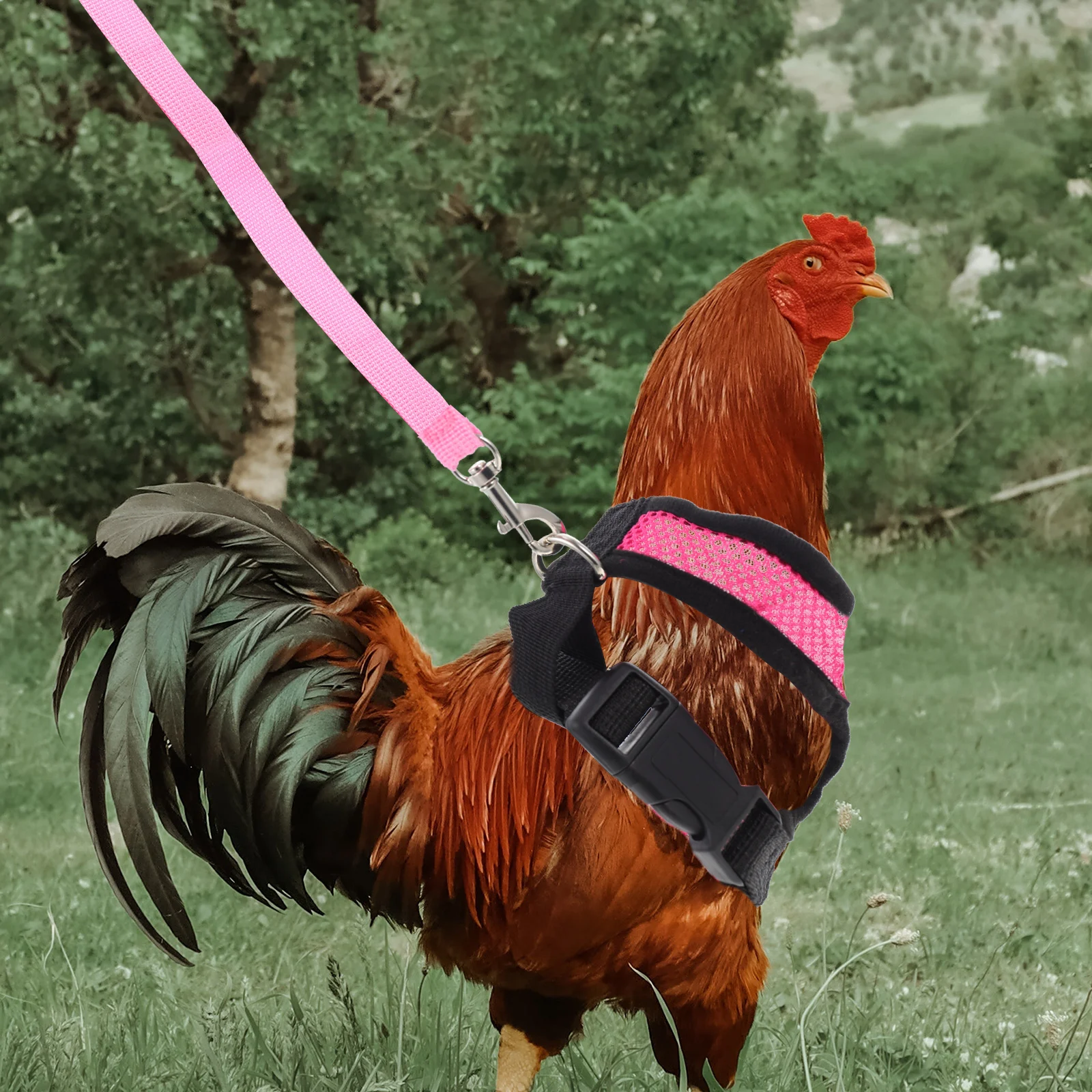 

Chicken Duck Goose Vest Harness Belt Adjustable Outdoor Pet Leash Wearable Mesh Comfortable Training Supplies Carnivals Pet