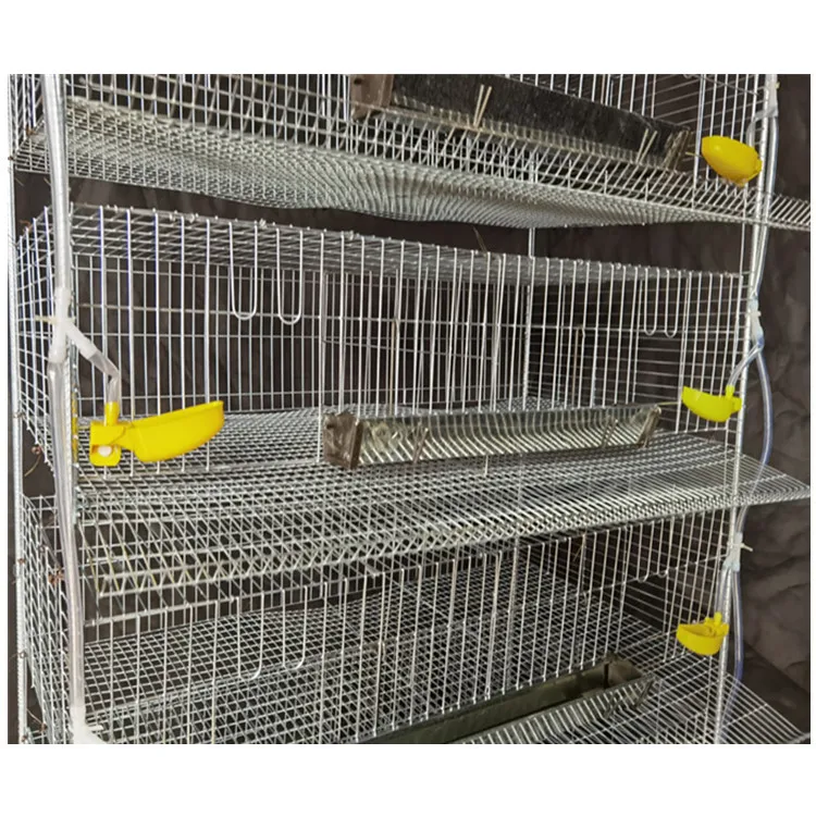 Design Commercial Broiler Chicken Cages Meat Automatic Poultry Feeding Farm Equipment H type Quail 5 Tier 200 Birds Laying Hens