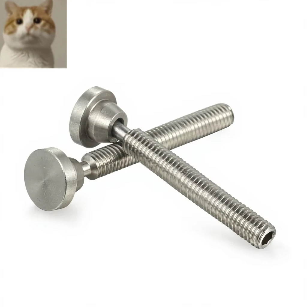 SGKS Rotating 8 Degrees Adjustable Angle Round Head Bolt Assembly SGKS4/6/8/10 Stainless Steel Swing Screw