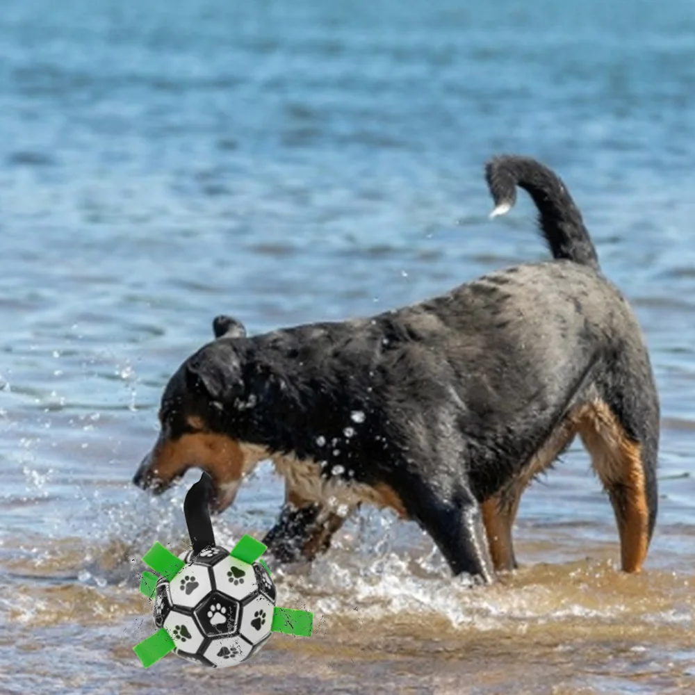 Thumbnail 4 - #85 Compare Puppy Balls Before You Buy