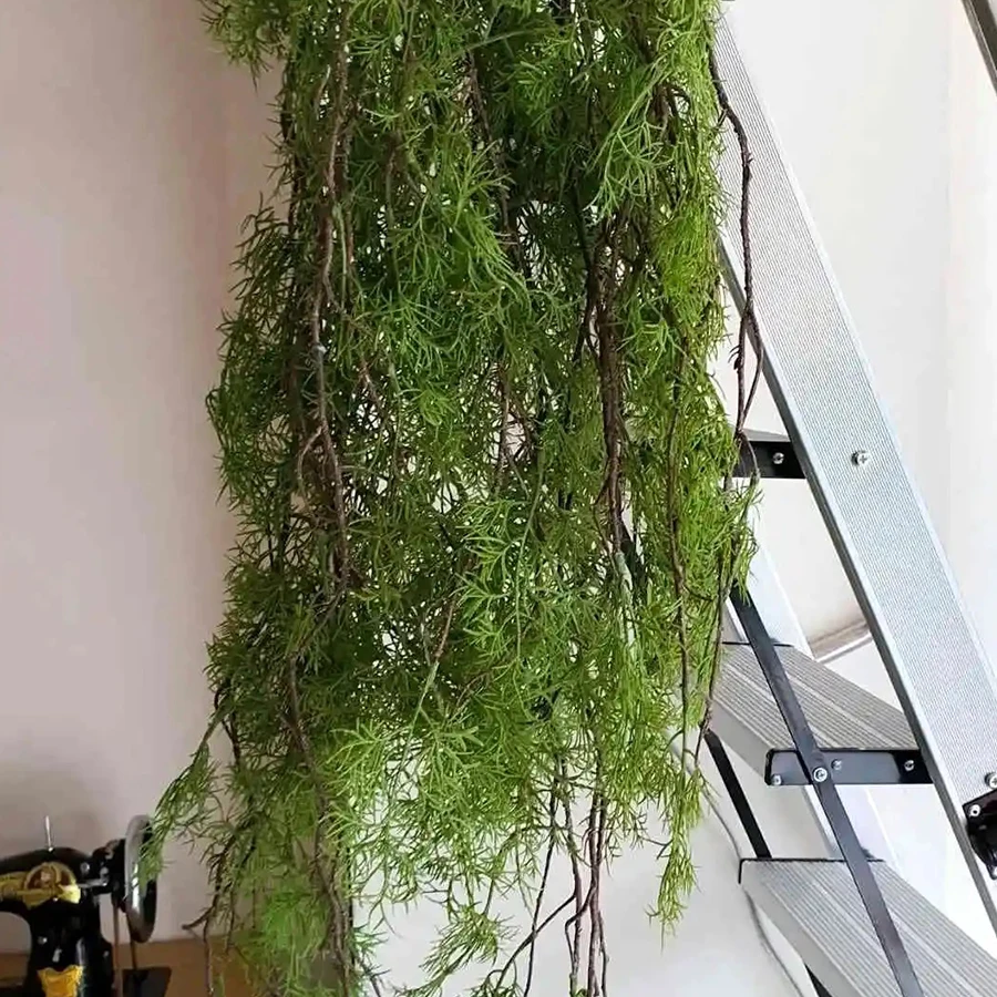 yZ[z140 Z`[glH݂AACr[ǑU̎} 1  5 tH[NOƂ̑ DIY K[h