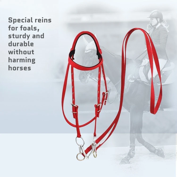 

Durable Adjustable Halters And Reins For Foals And All Types Of Horses