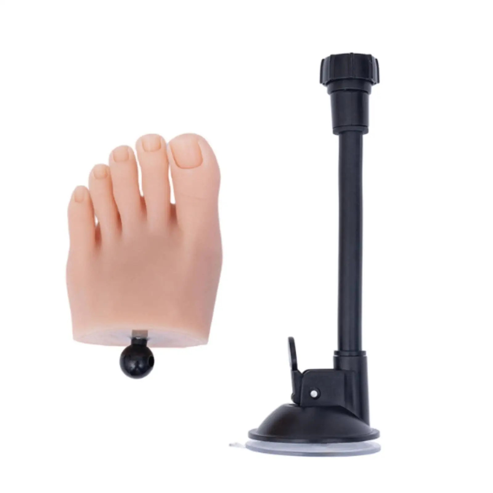 Nail Practice Foot Realistic Artificial Foot Stand Model Reusable