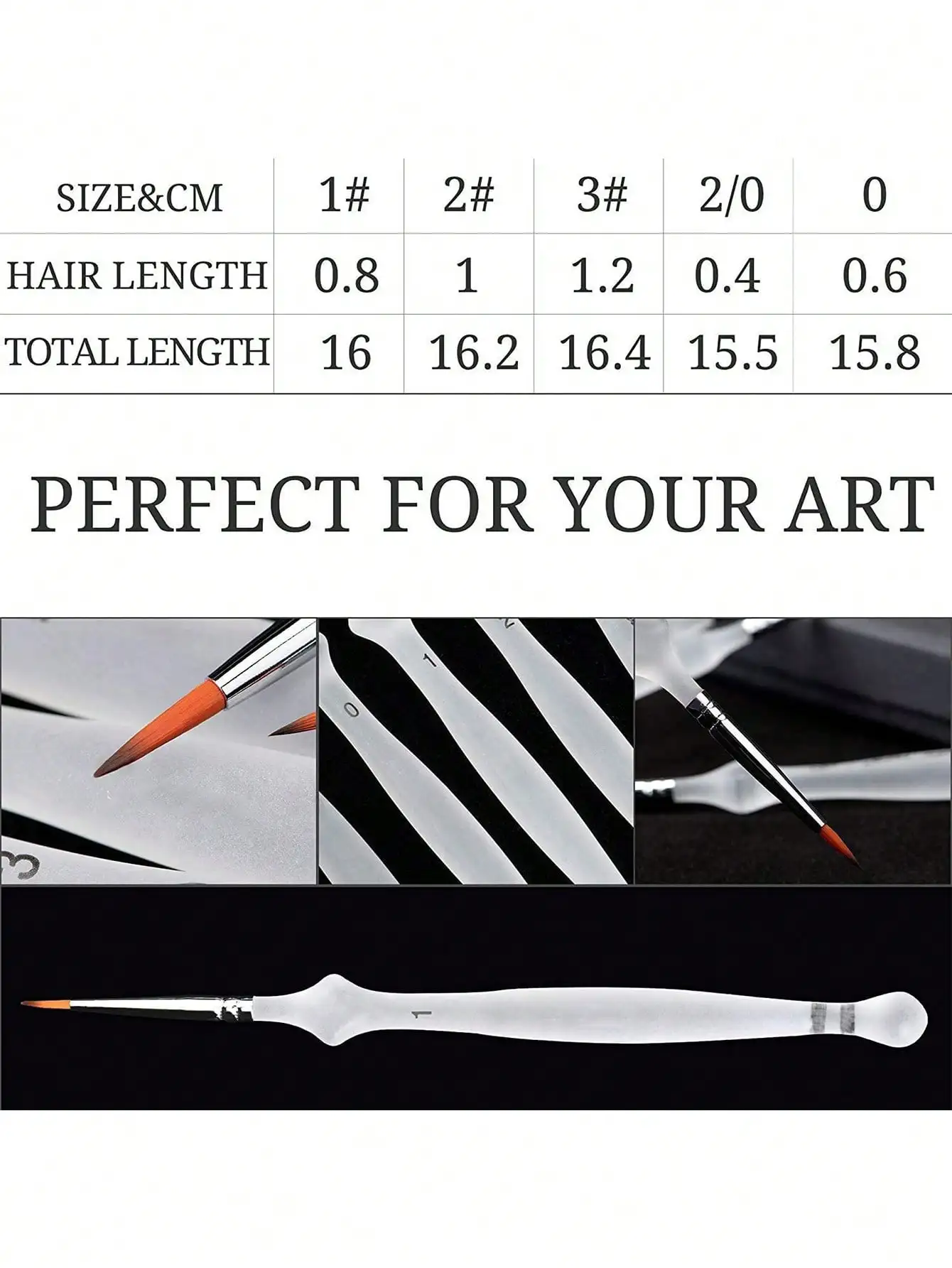 5 Pieces Transparent Fine Detail Paint Brushes Set