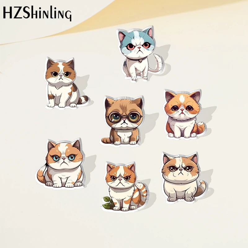 2023 Cartoon Cute Exotic Shorthair Cat Acrylic Lapel Pin Resin Epoxy Acrylic Pins Fashion Jewelry Accessories