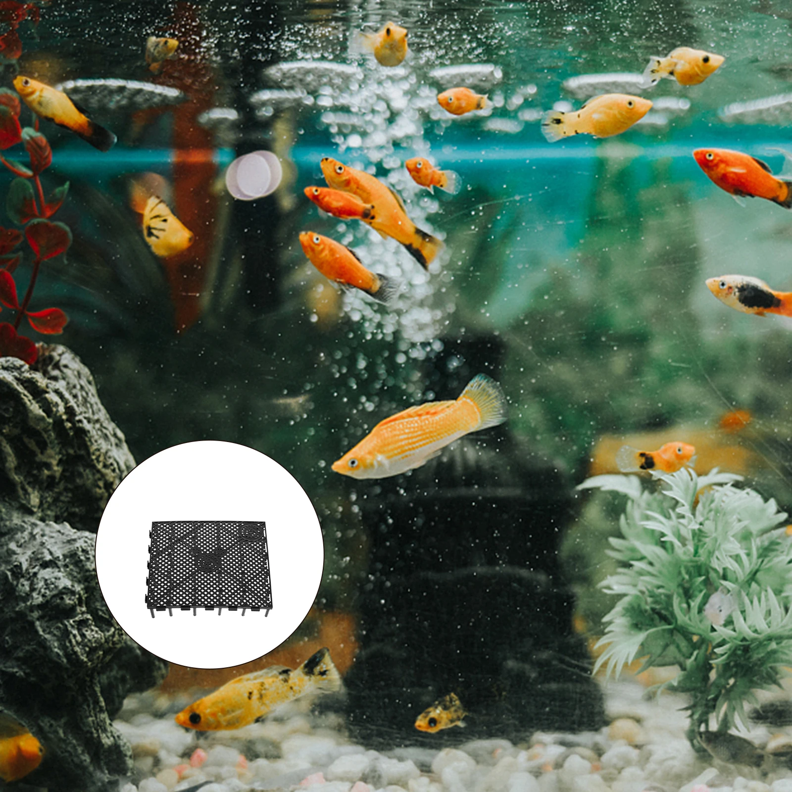 

6pcs Bottom Filter Plate For Aquarium Splicing Design Smooth Edge Gravel Filter Board Fish Tank Supply Plastic Tank Divider