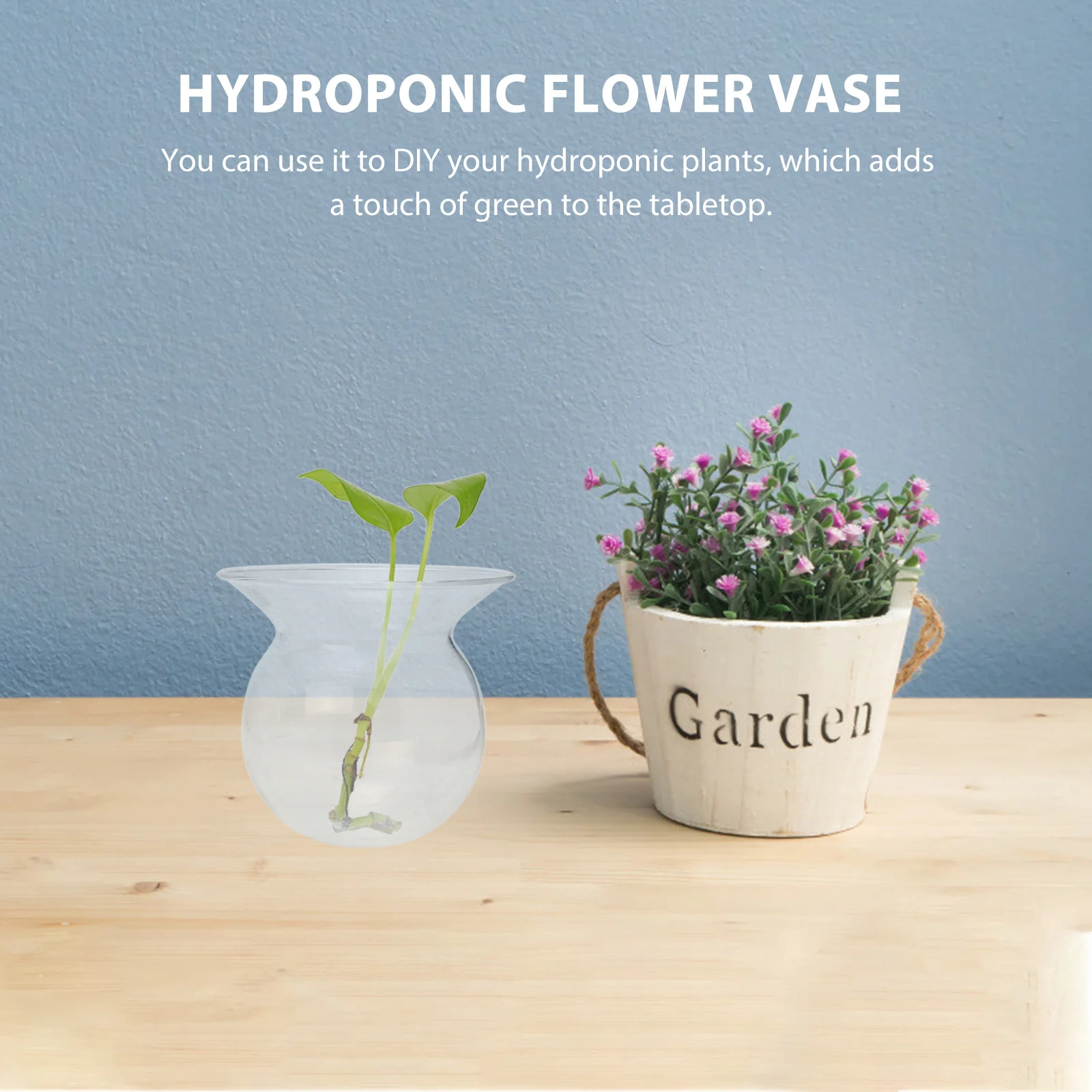 

6Pcs Hydroponic Glass Vase Flower Arranging Holder Glass Bottle for Living Room Office Hydroponic Flower Vase