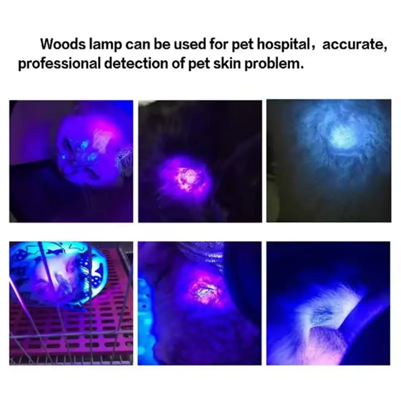 A94E-Lampada professionale Analizzatore UV per la pelle Macchine di bellezza Dispositivo diagnostico per la pelle del viso Spina europea