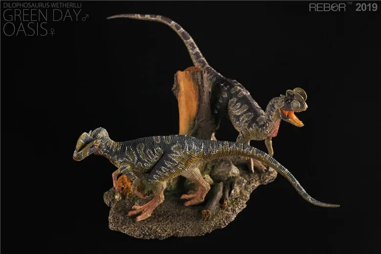 In Stock Rebor Dinosaur Double Crested Dragon Double Cristax Couple Floor Table Boys Girls Adult Model Toys