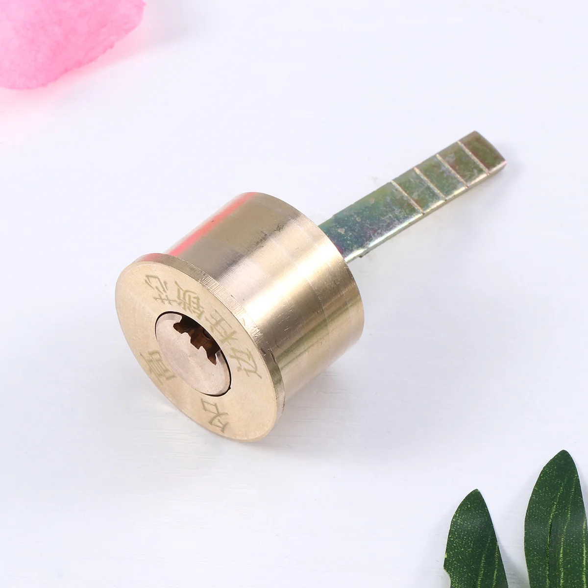 

Lock Cylinder Replacement Solid Brass Rim Cylinder For Garage Door Includes Trim Ring Mounting Plate Screws Keys Hardware
