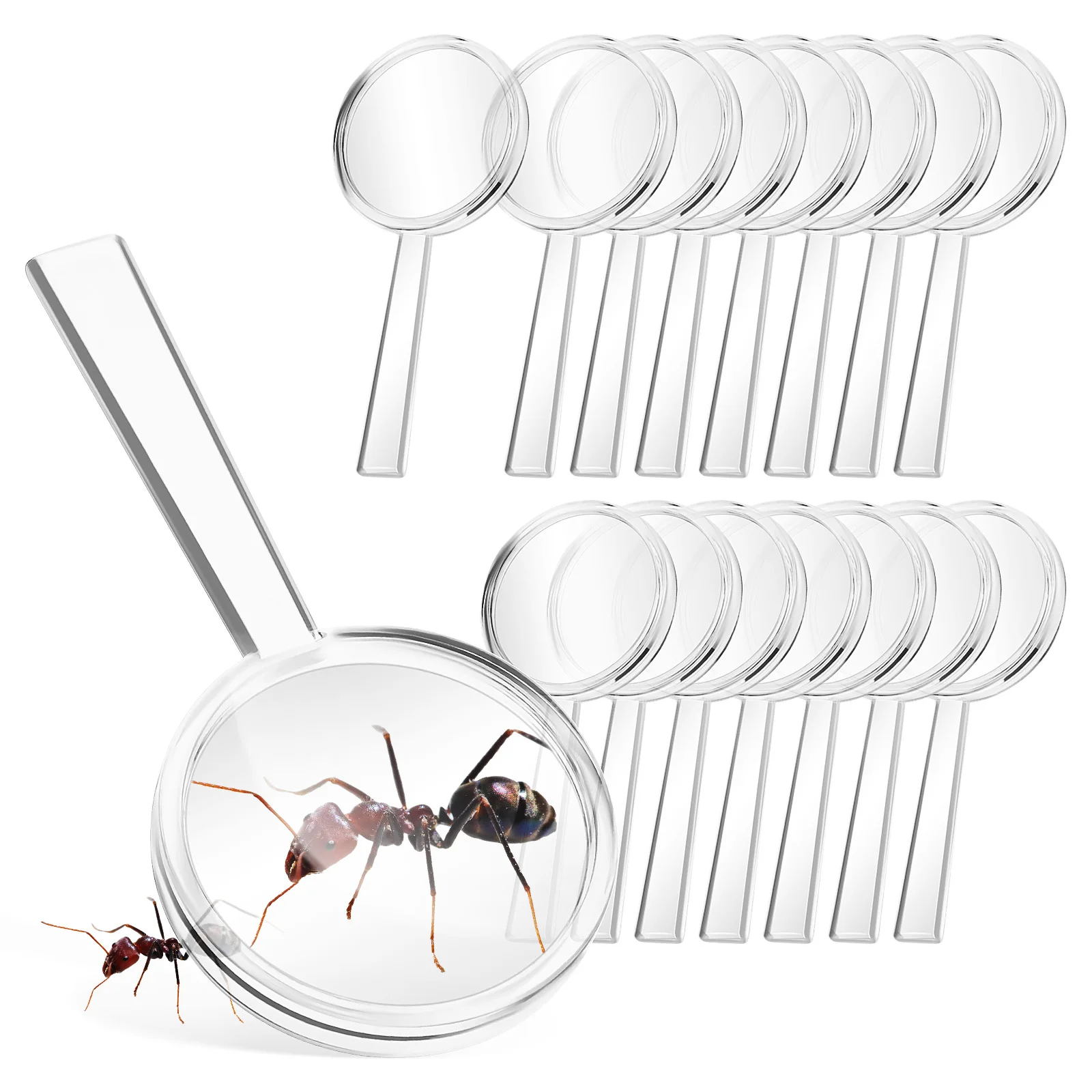

16pcs 8X Magnifying Glass Handheld Pocket Explorer Tool For Reading Science Classroom Learning Exploration Set Black Educational