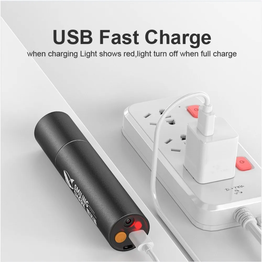 이중 기능 UV 라이트 퍼플 LED 650nm 레드 레이저 포인터 법의학 HVAC 수리 위조품 감지 소형 휴대용