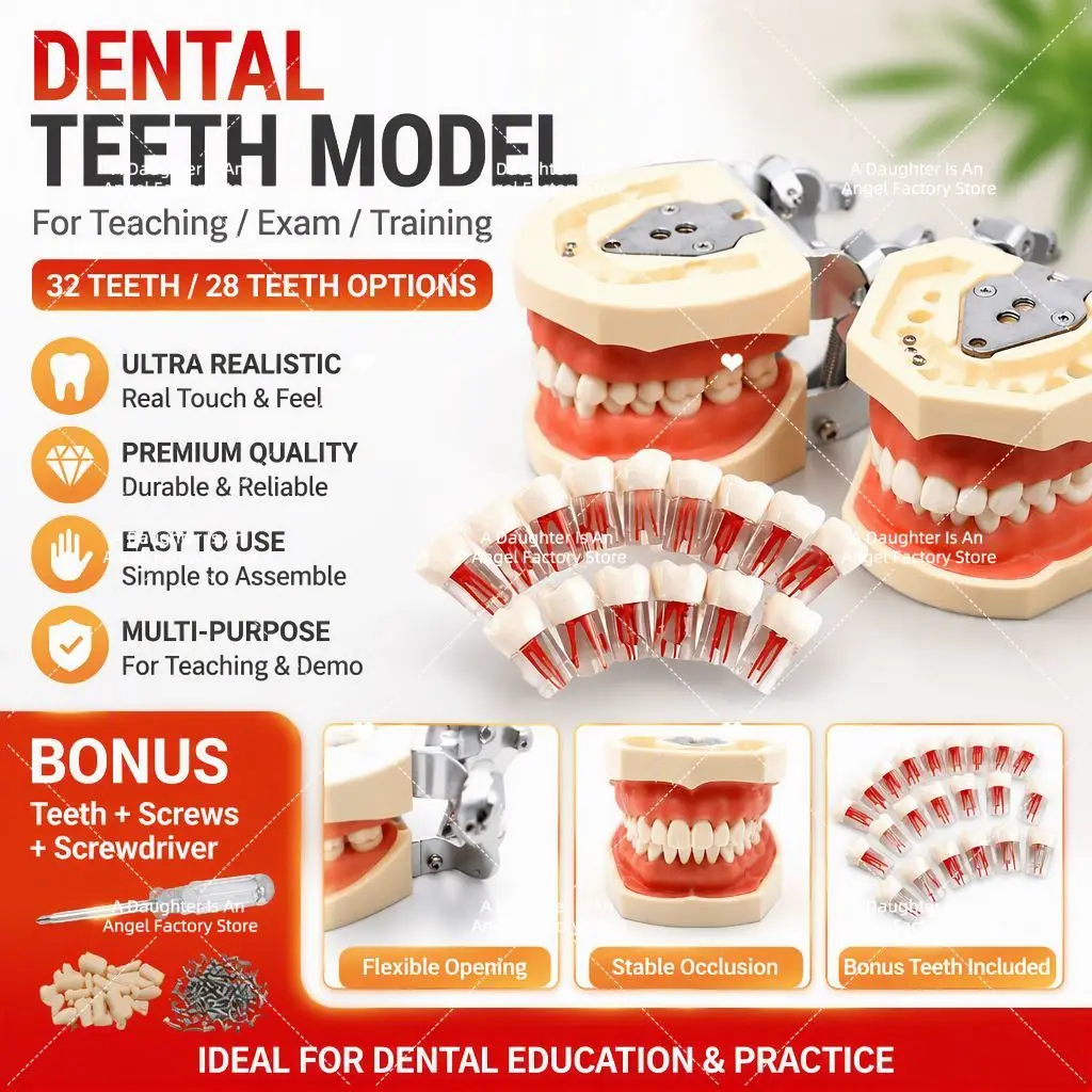 28 32 Oral Dental Teeth Model Preparation Practice Soft Gums Removable Oral Teaching