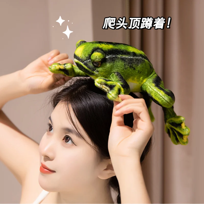 Realistyczna pluszowa żaba dla dzieci, miękka, wypchana, zwierzątko do raczkowania, fajny, zabawny wystrój domu, kreatywny prezent, towarzysz zabaw dla dzieci.