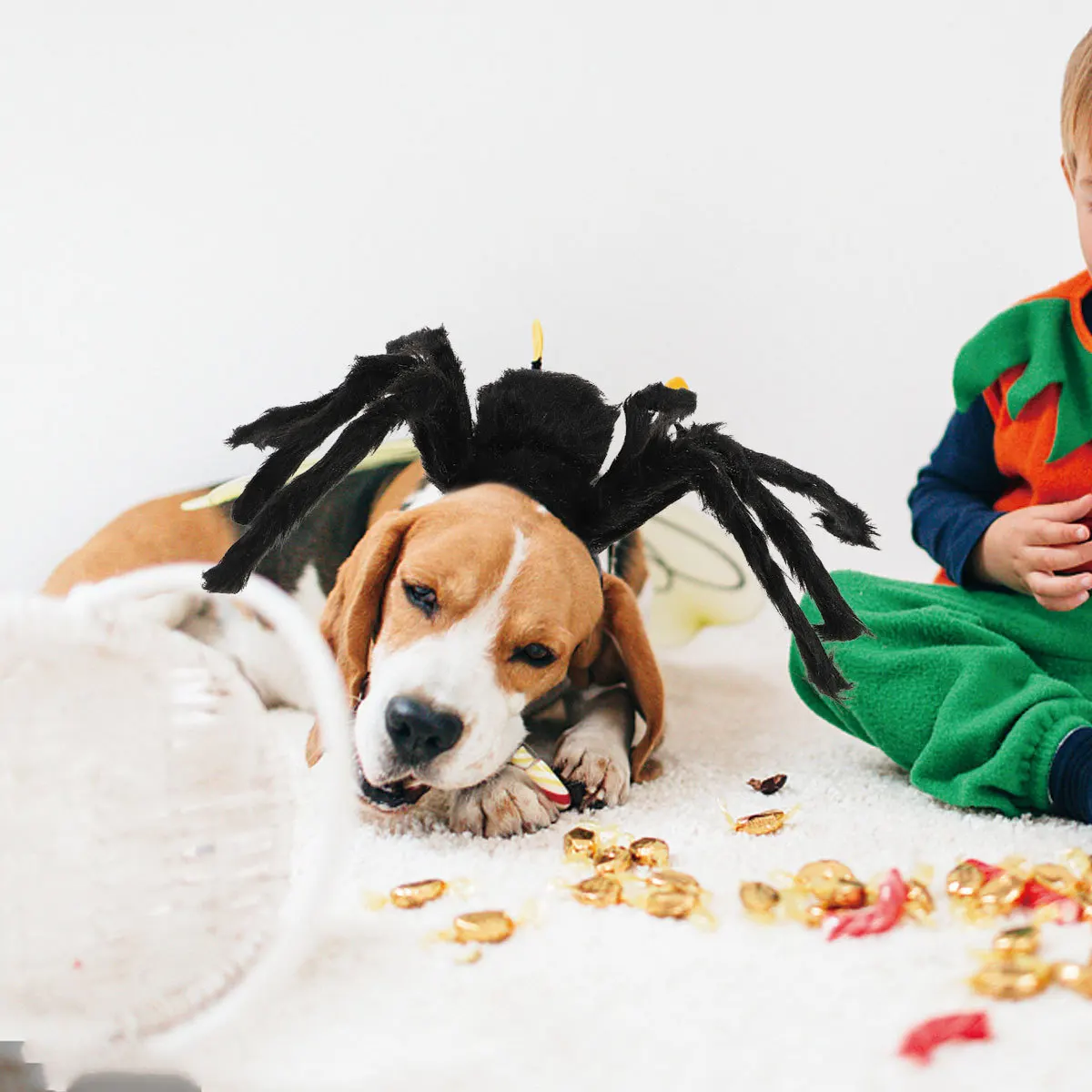 

Halloween Pet Spider Style Clothes Creative Soft Comfortable Pet Dog Apparel Halloween Costume Spider Legs Design