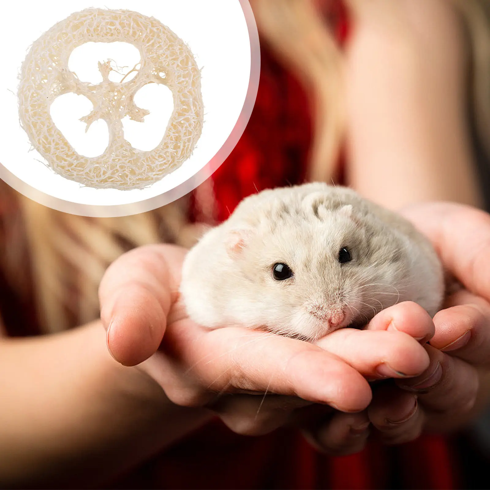 40Pcs Natural Loofah Slices Chew Plaything for Small Pets Hamsters Rabbits Guinea Pigs Rats Chinchillas Teeth Cleaning Oral Care