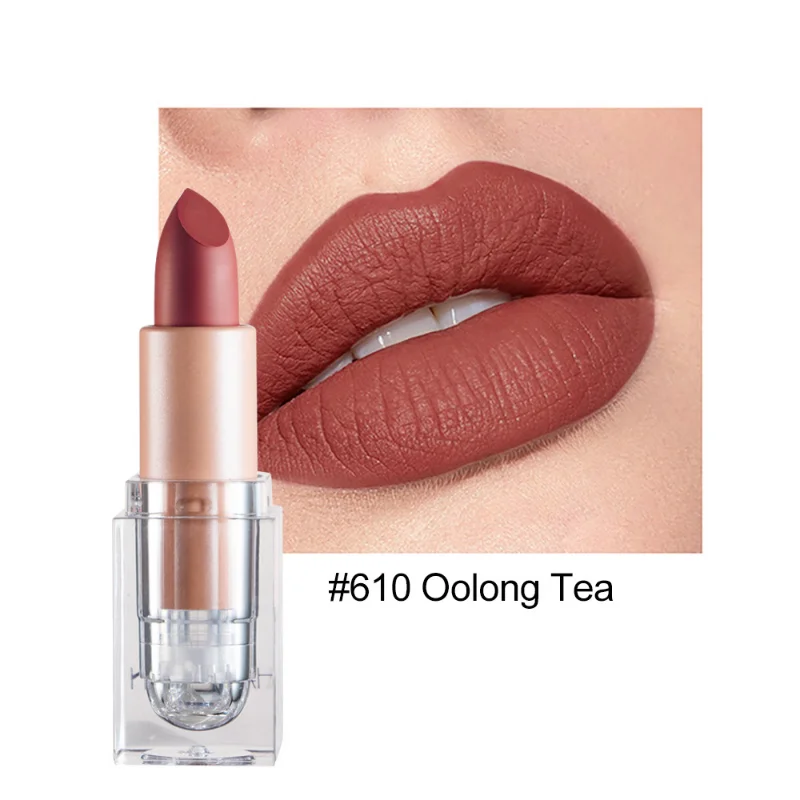 New Matte Nude Lipstick 5 Colors Waterproof Lasting Sexy Pink Red Brown Velvet Non-stick Cup Lip Tint Women Lips Makeup Cosmetic
