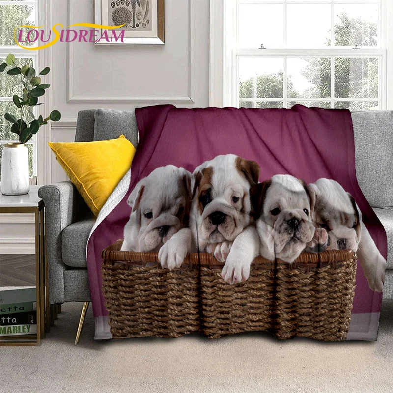 Cartoon French Pit Bull Dog Pet 3D Blanket,Soft Throw Blanket for Home Bedroom Bed Sofa Picnic Travel Office Cover Blanket Kids