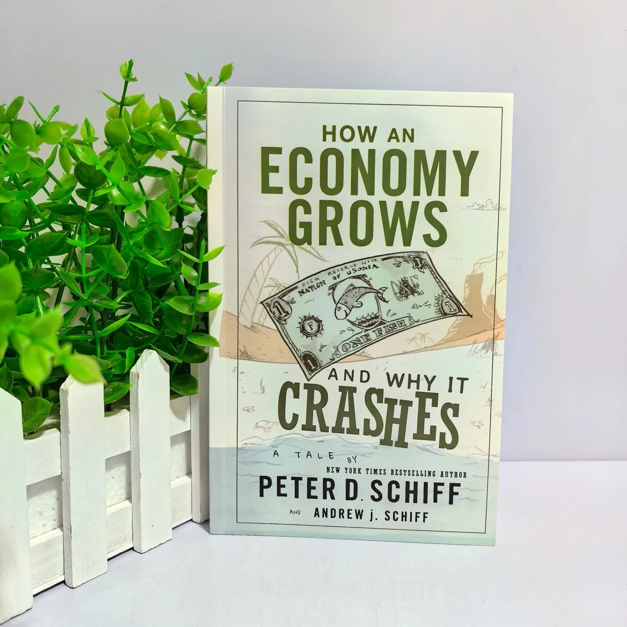 Comment une économie se développe et pourquoi elle s'effondre - Livre broché en anglais