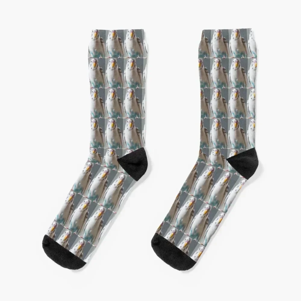 White and Blue Parakeet Socks men cotton high quality set luxury Climbing Men Socks Women's