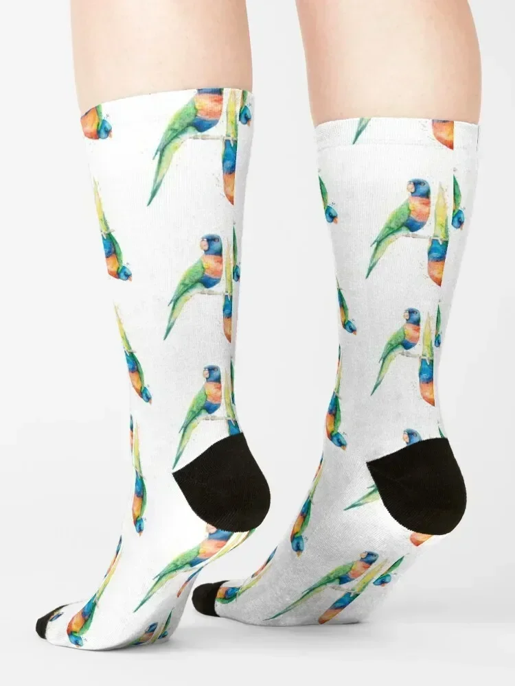 Rainbow Lorikeets Socks cute custom Novelties hip hop Man Socks Women's
