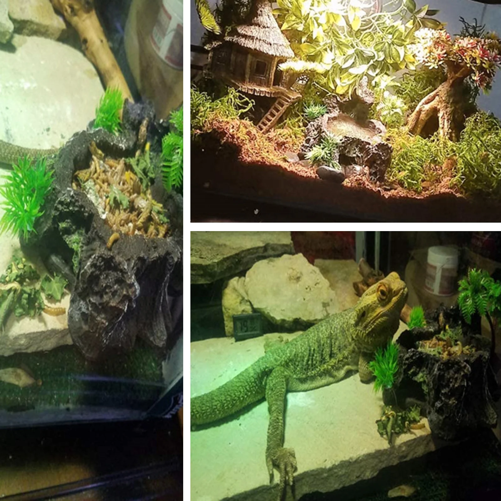 

Realistic Dish Resin Durable Feed Bowl Reptile Decoration Aquarium Lizard Tortoise Food Dish Resin Water Bowl