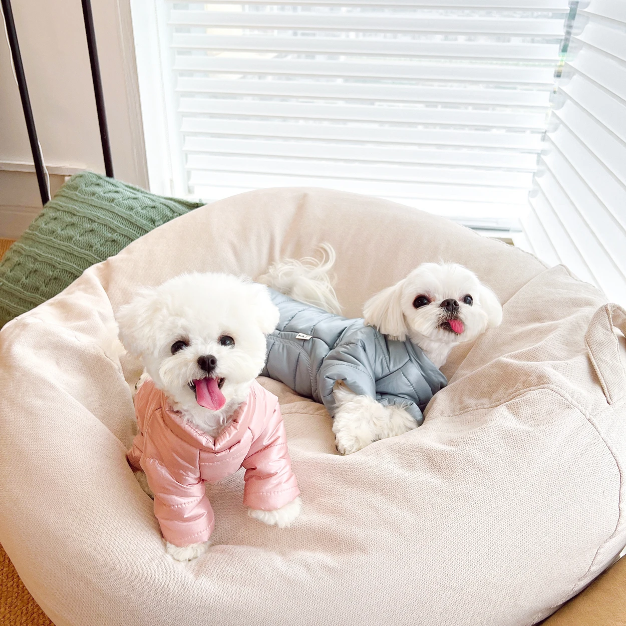 

Dog Winter Wrap Belly Cotton Coat Teddy Warm Down Jacket Bichon Solid Color Jumpsuits Pet Thickened Warm Four-legged Clothes