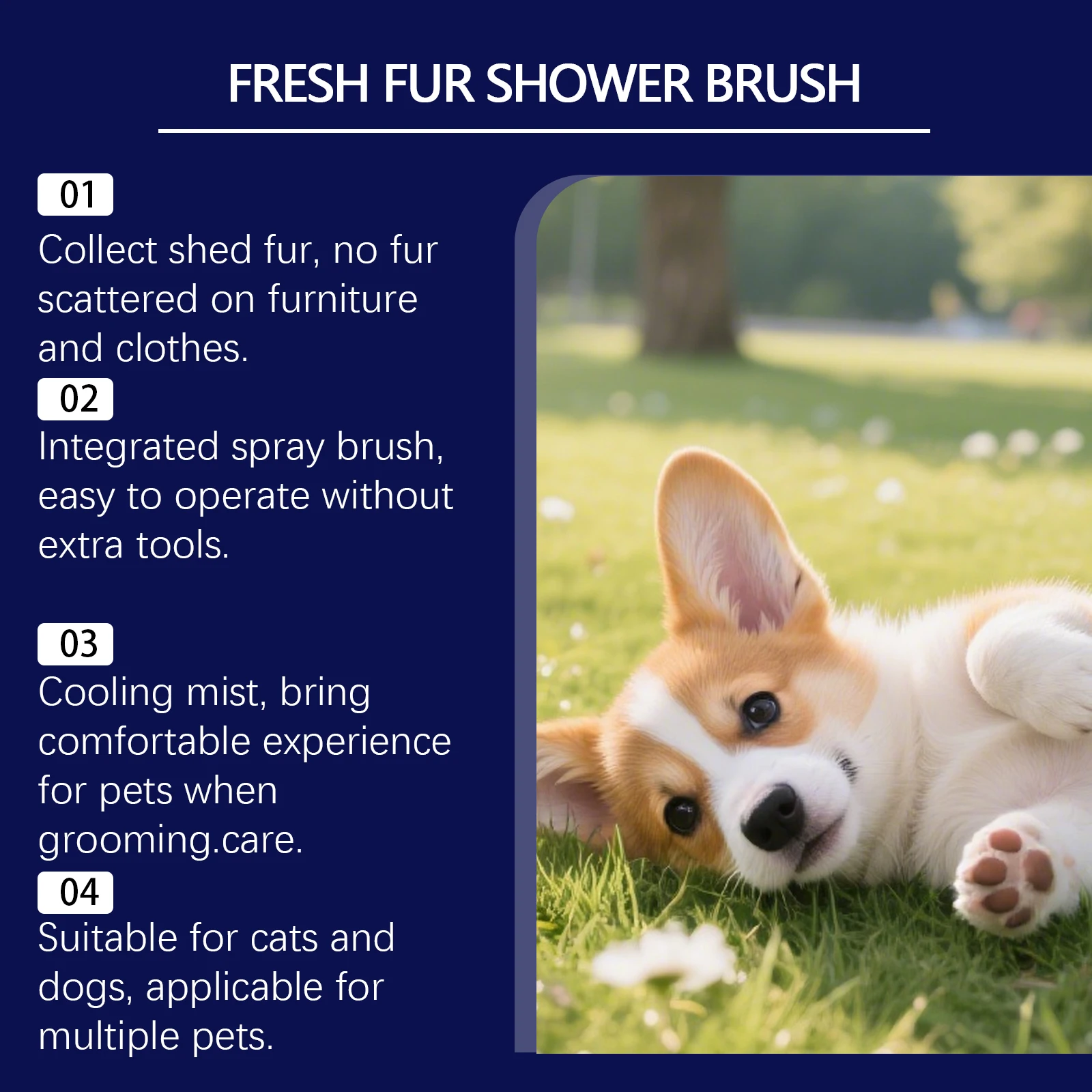 Pet Fur Detangling Spray 3