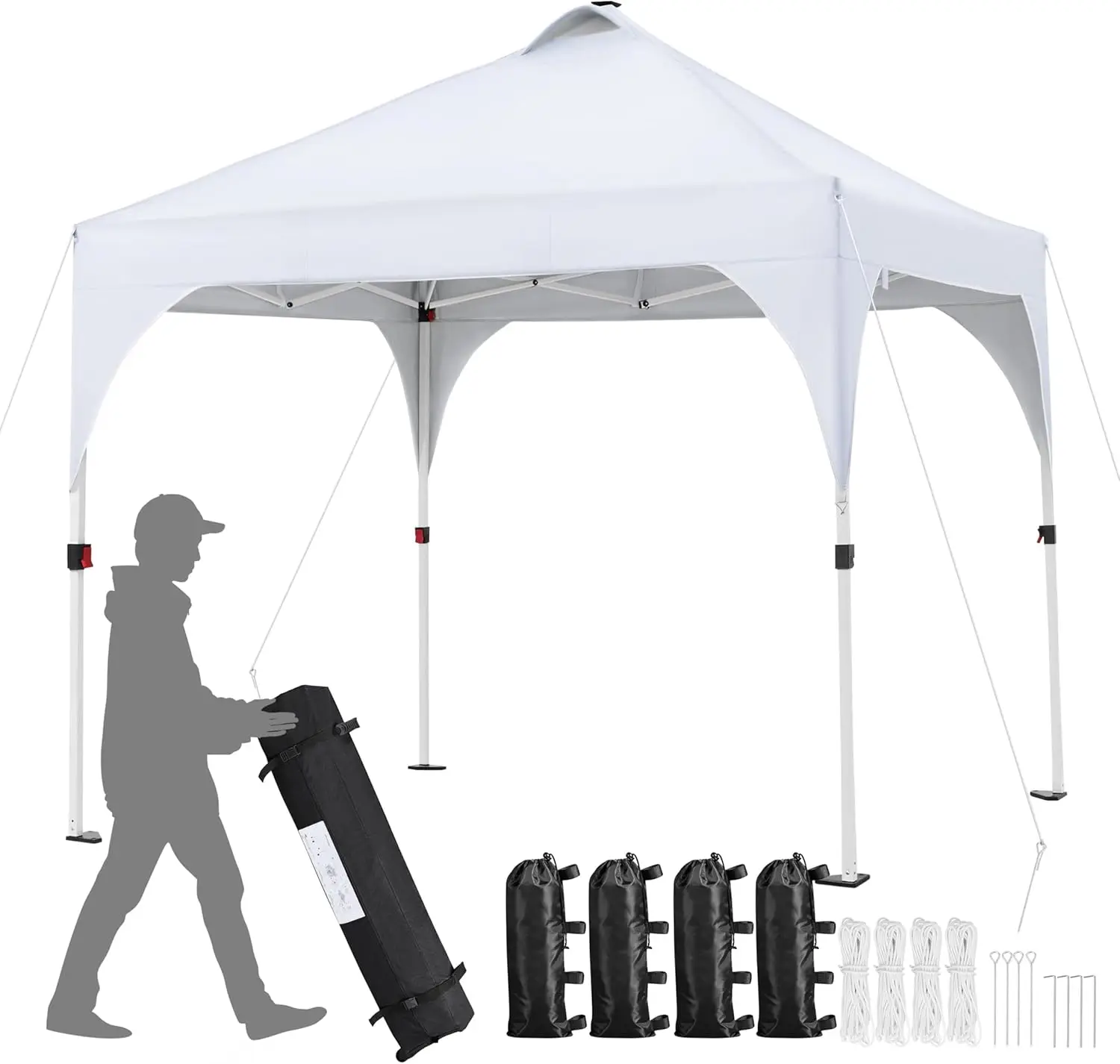 10X10Ft Pop-Up Cano…