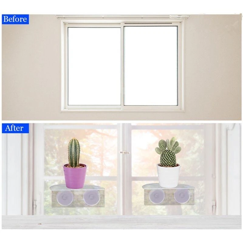 Estante ventana taza succión: jardín interior, sostenga sus macetas maceta, semilla