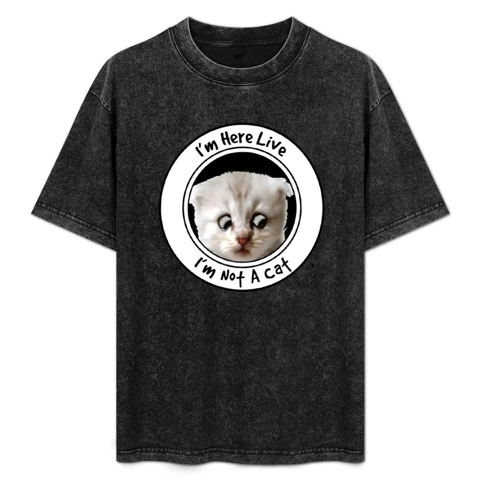 

Rod Ponton I'm here live, I'm not a cat T-Shirt vintage anime shirt cheap stuff shirts men
