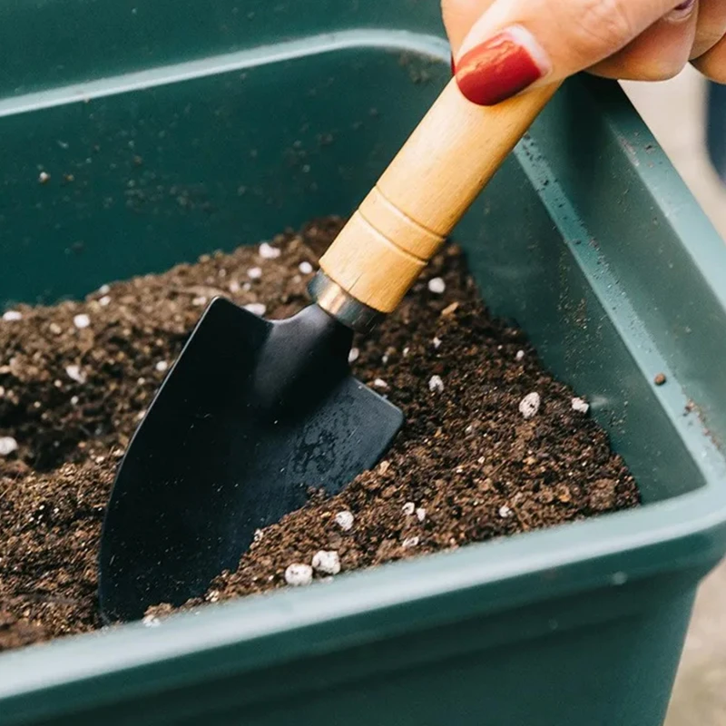 Mini juego de herramientas para macetas, herramientas de aflojamiento de jardinería suculenta, planta de mano al aire libre, rastrillo de pala de flores, 3 piezas por juego