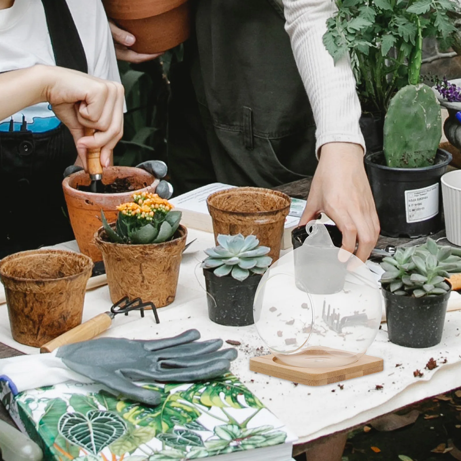 

1Pcs Eco Bottle Hanging Micro Landscape DIY Glass Bottle Plant Terrarium Small Plant Glass Container Decor DIY Terrarium Decor