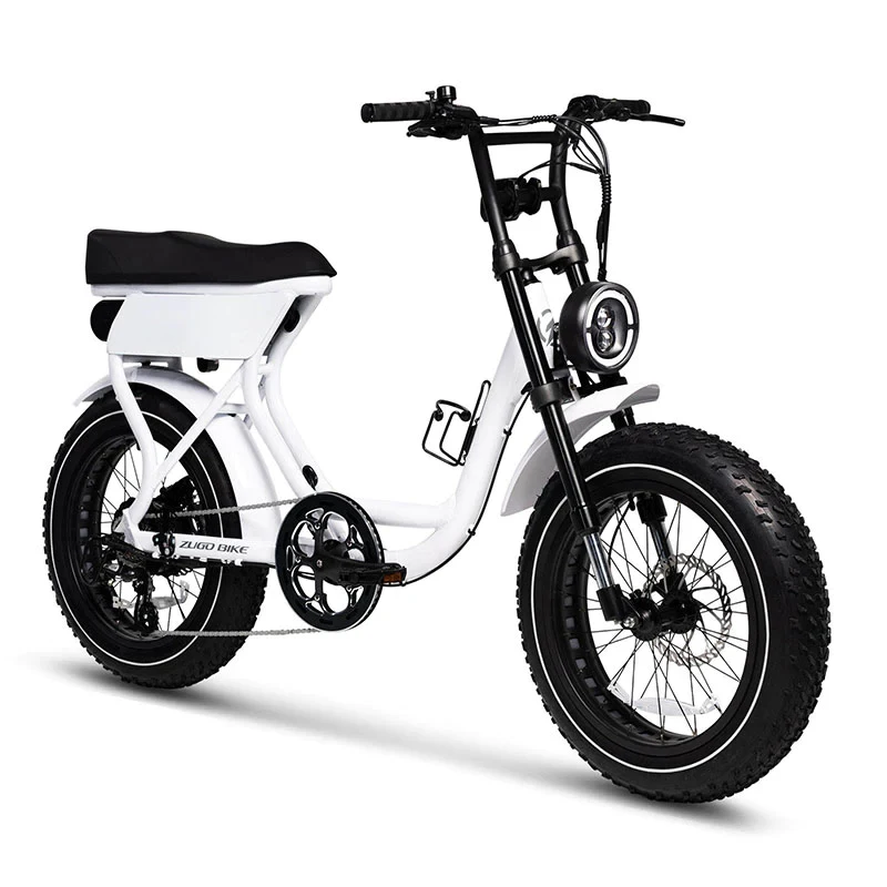 Factory direct price Electric Bicycle 750w 48v New  Electric Bike All Terrian