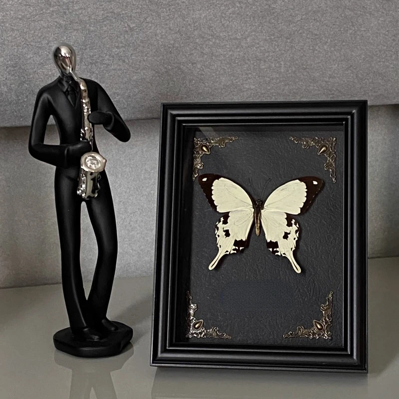 

Papilio Dardanus Real Butterfly Specimen Natural Wings Home Decoration Ornament Photo Frame Gift Giving Statues for Decoration