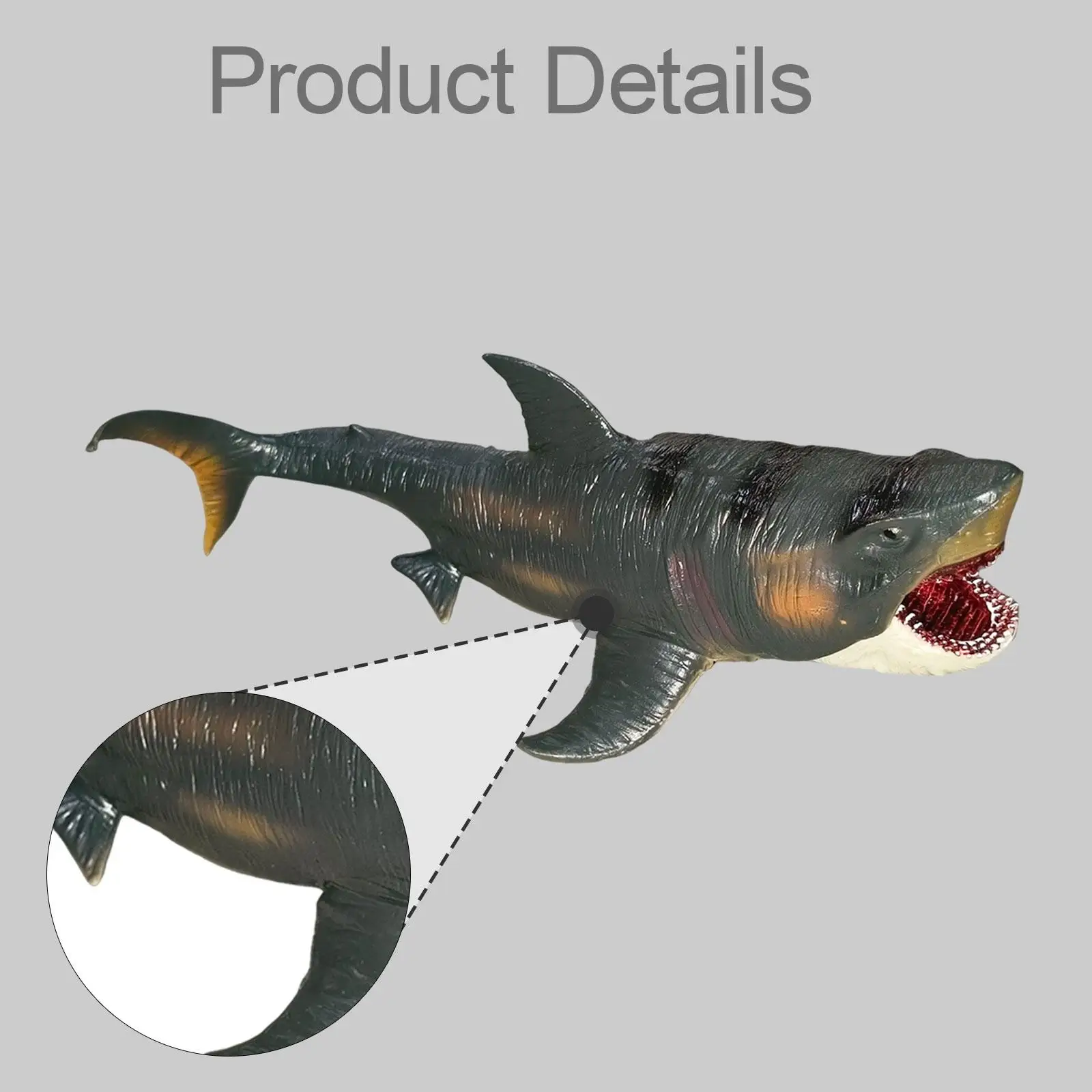 교육용 상어 모형 메갈로돈 모델 사실적인 동물 상어 장난감 교육 보조용 초기 학습 장난감 어린이 남아 여아용