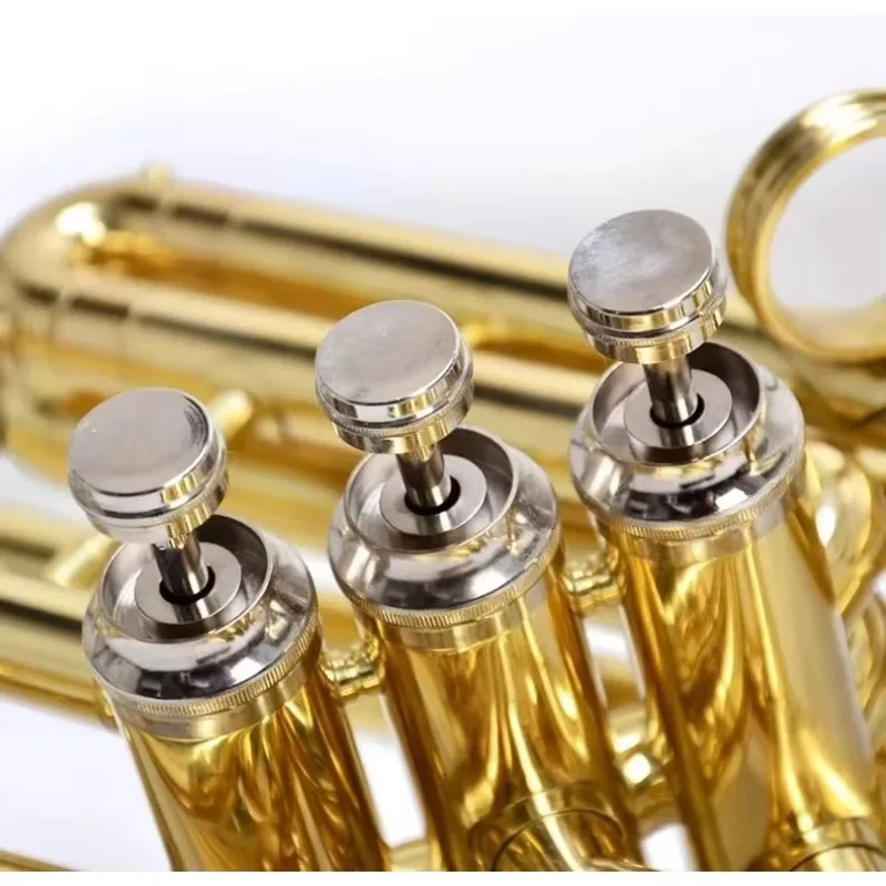 

2025 Professional Bb Sousaphone OEM/ODM Gold Lacquer & Silver Plated Brass Wind Instrument for Marching Bands