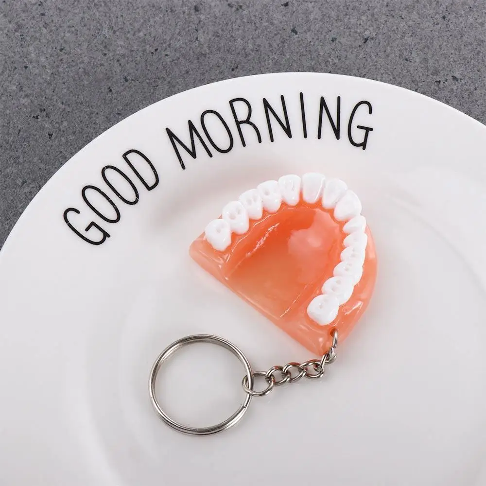 Dental Decoration Creative Resin Teeth Shape Upper Jaw Denture Key Chain Teeth Keyring Tooth Key Chain Teeth Pendant