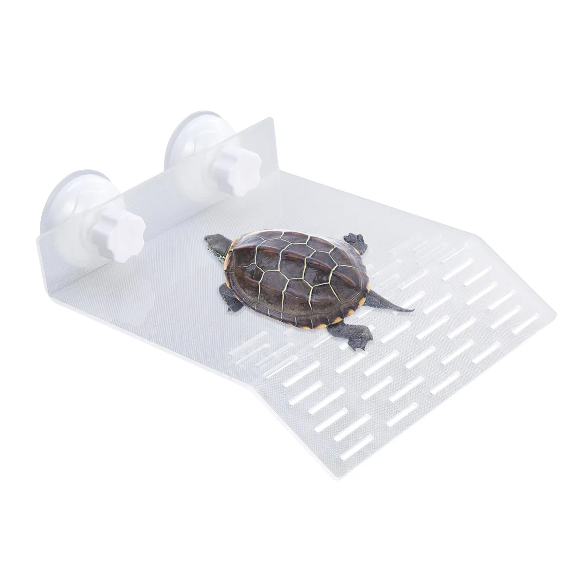 

Turtle Basking Platform Eco Friendly Design Floating Dock Aquarium Fish Tank Decor Safe Turtle Pier Pet